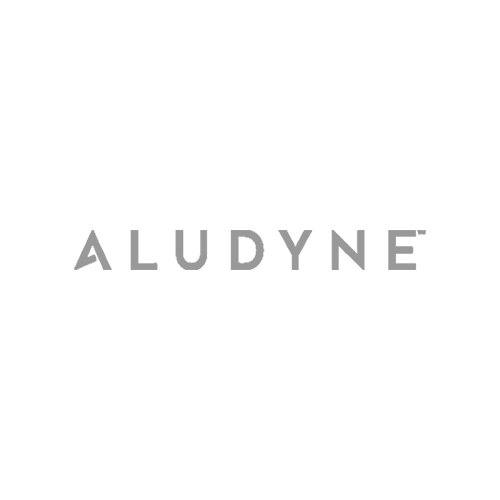 Aludyne logo