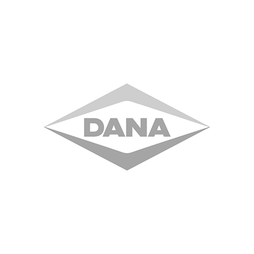 Dana logo