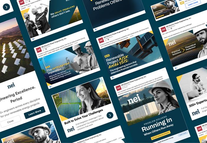 NEI case study